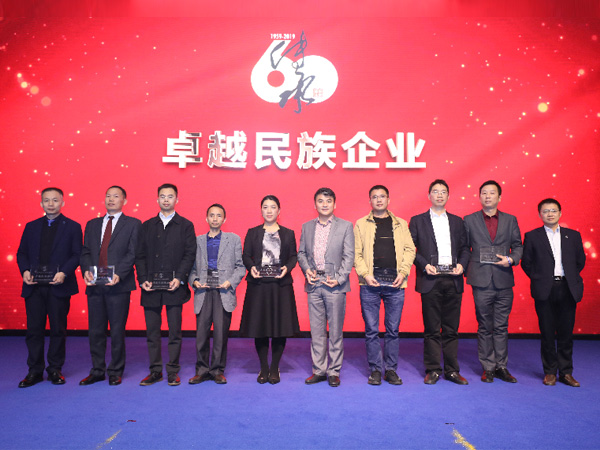 卓越民族企业颁奖仪式